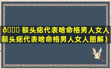 🐝 额头痣代表啥命格男人女人（额头痣代表啥命格男人女人图解）
